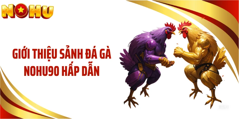 Giới thiệu sảnh đá gà NOHU90 hấp dẫn
