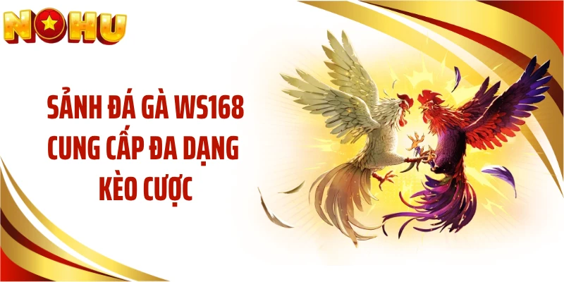 Sảnh đá gà WS168 cung cấp đa dạng kèo cược