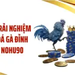 WS168 - Trải Nghiệm Cá Cược Đá Gà Đỉnh Cao Tại NOHU90