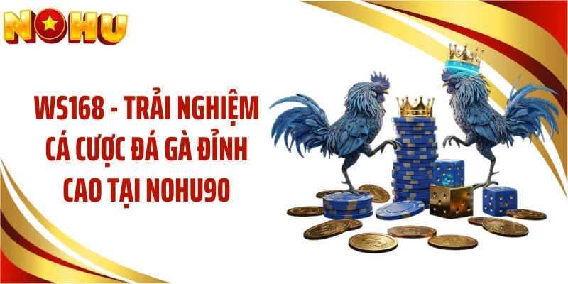 WS168 - Trải Nghiệm Cá Cược Đá Gà Đỉnh Cao Tại NOHU90